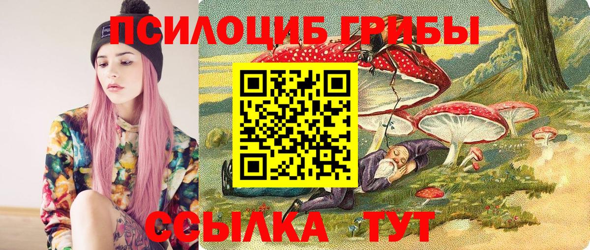 Галлюциногенные грибы Psilocybe  Вход с VPN  Галлюциногенные грибы ЛСД  Татарск 