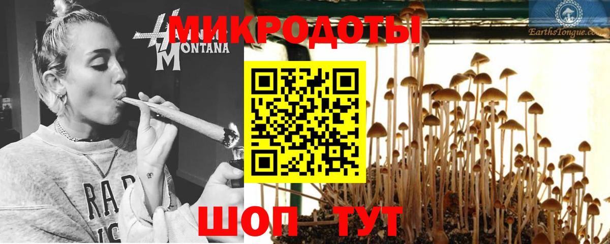 Псилоцибиновые грибы Psilocybine cubensis Татарск